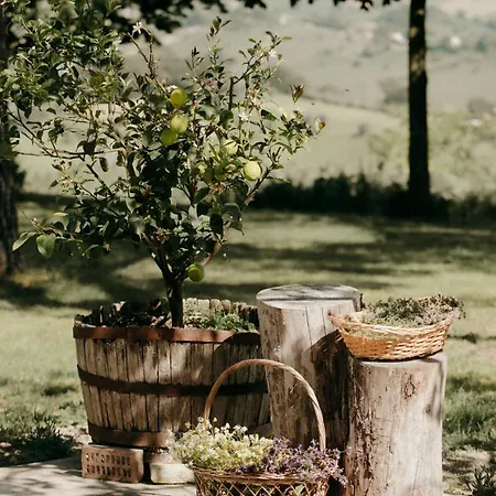 Zem Casolare Petriolo