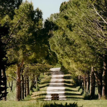 Semesterbostad Zem Casolare