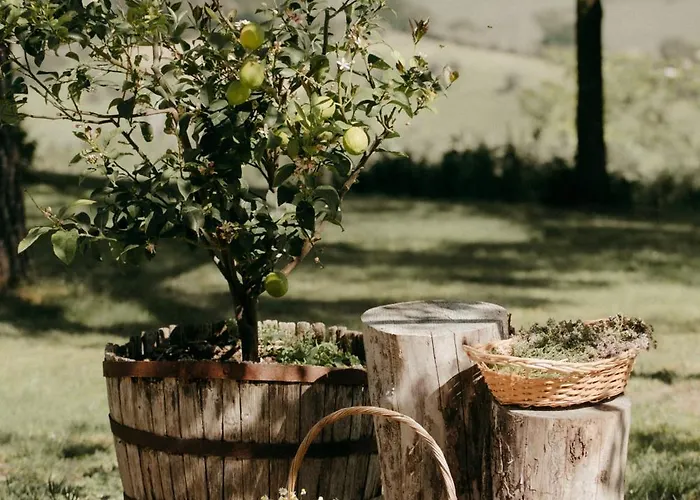 Zem Casolare Petriolo